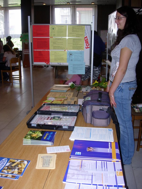 img1 (25).JPG