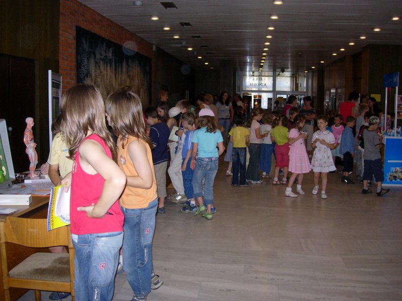img1 (37).JPG