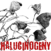 Halucinogeny