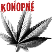 Konopn�